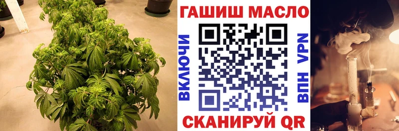 ТГК гашишное масло Никольское