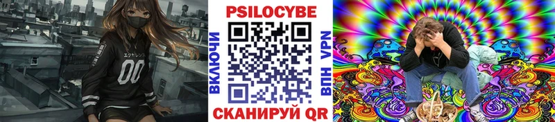 Псилоцибиновые грибы Psilocybe  купить  цена  Никольское 